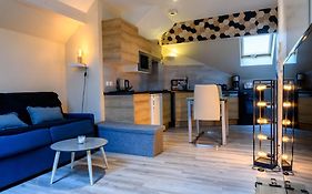 Au Bord Du Lac D'Annecy, Logement Type Loft, Dans Residence Avec Plage Et Ponton Privee